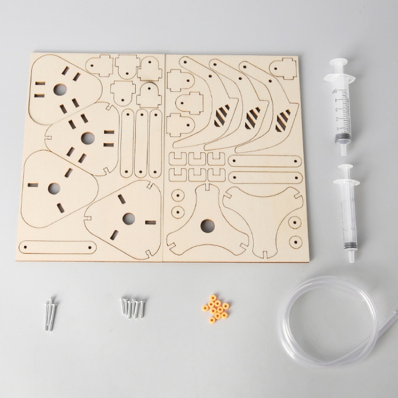 مجموعة ألعاب تعليمية للأطفال:  - مراجعة Science Diy Model وسعره